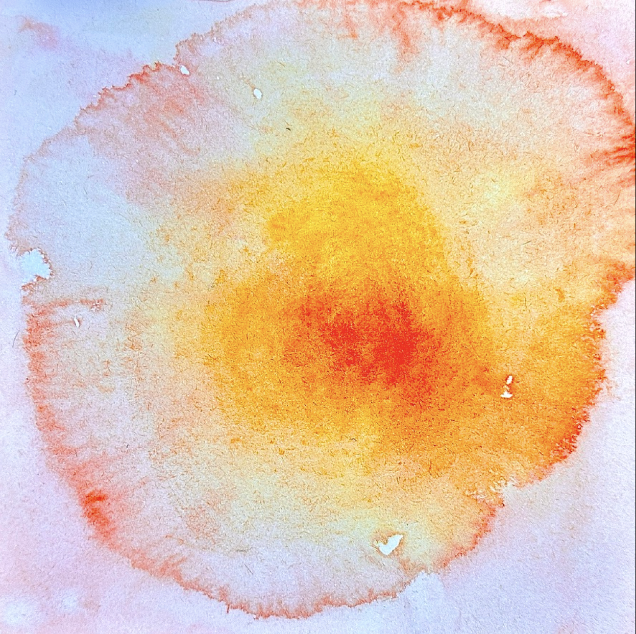 2024-12-17  11.50.00 1